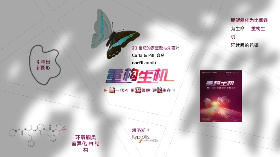 全国百日庆典活动方案_第4页