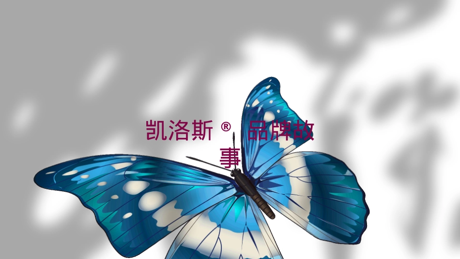 全国百日庆典活动方案_第6页