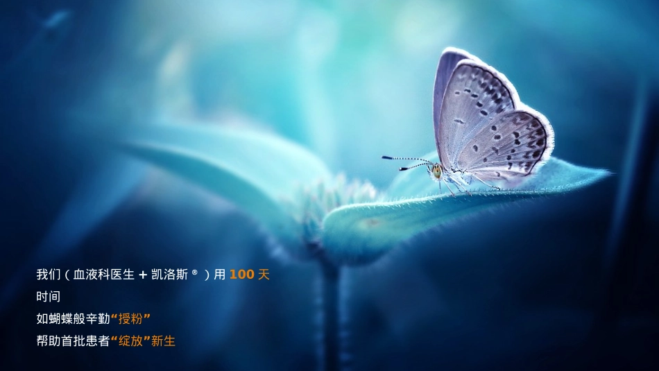 全国百日庆典活动方案_第7页