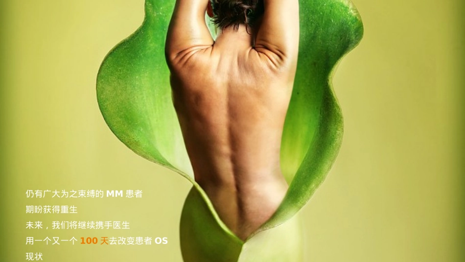 全国百日庆典活动方案_第8页