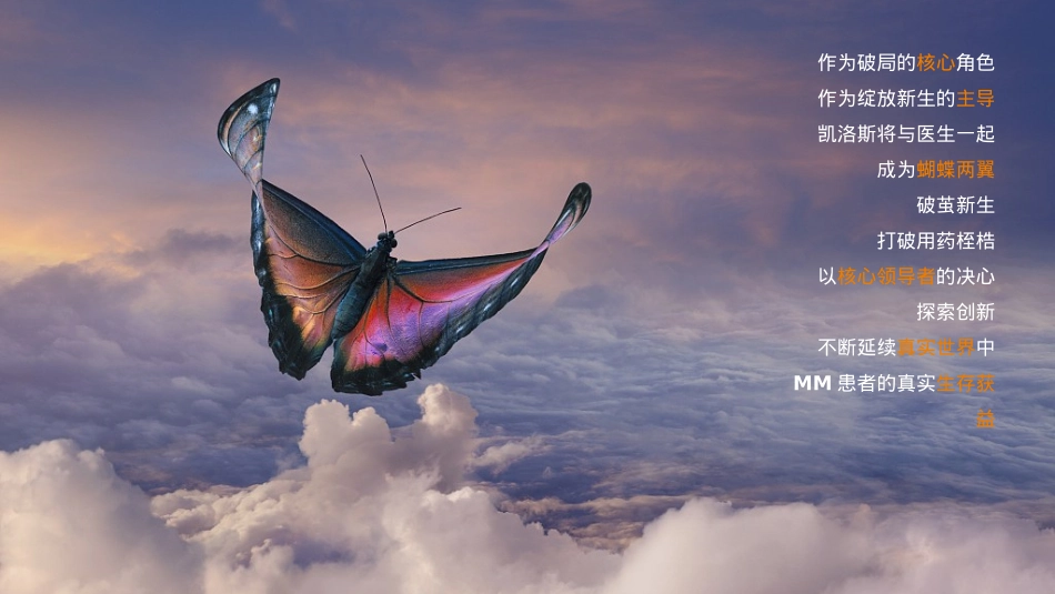 全国百日庆典活动方案_第9页