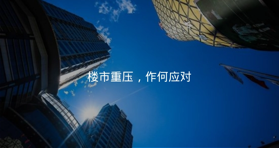 世联高峰论坛策划案_第5页