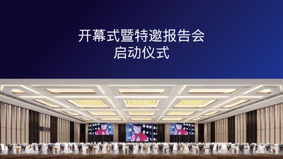 院士峰会策划方案_第10页