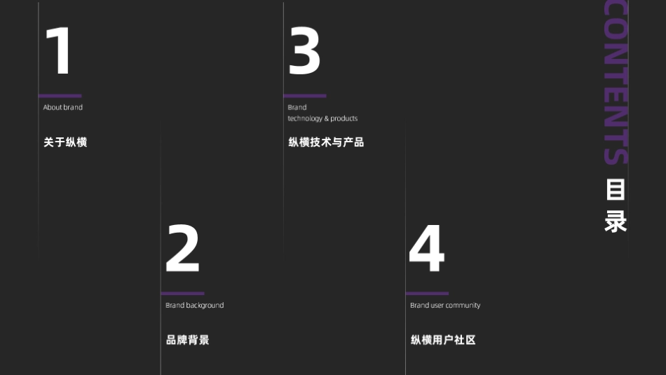 「捷途纵横」品牌手册_第2页