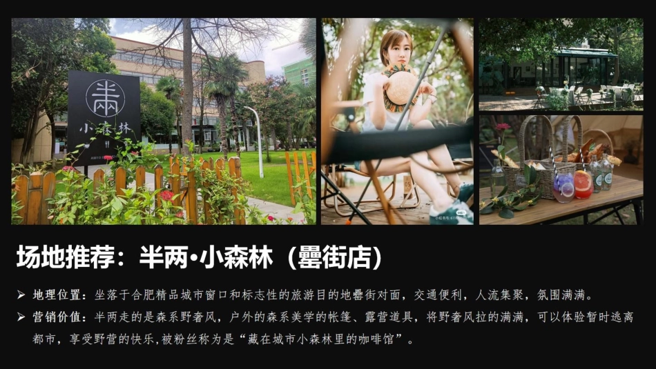 【活动方案】理想汽车对比试驾家庭体验日活动策划方案_第10页