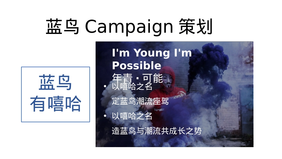 2017蓝鸟试驾（蓝鸟有嘻哈 潮玩乐开趴主题）传播策划方案-69P_第4页