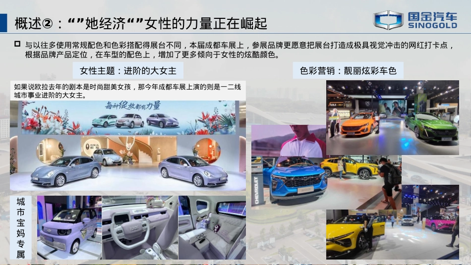 2022成都车展观展报告_第5页