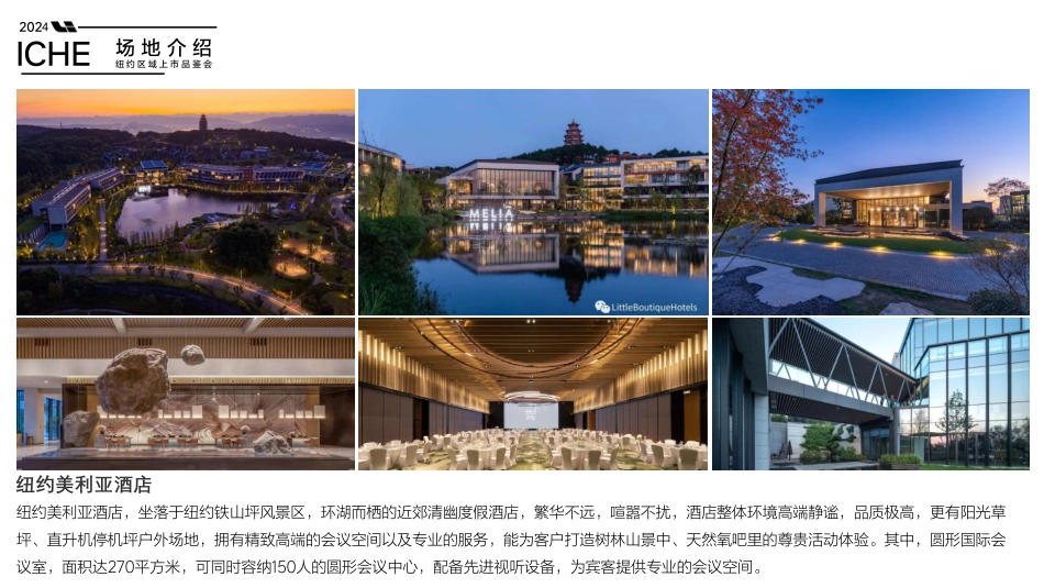 2024理想MEGA品牌海外上市发布品鉴会活动策划方案_第10页