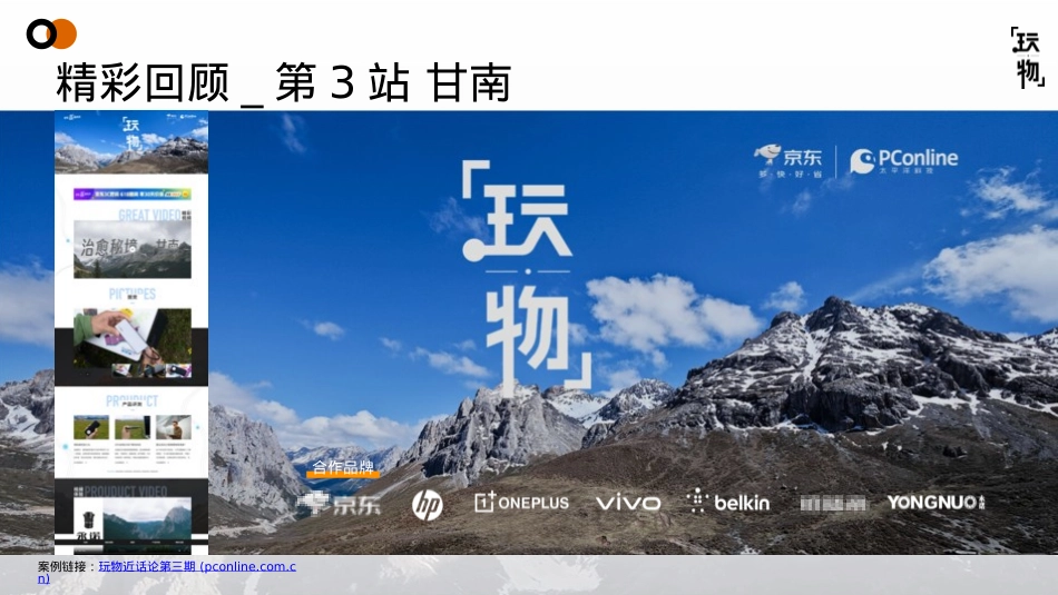 2024年-玩物规划_第10页