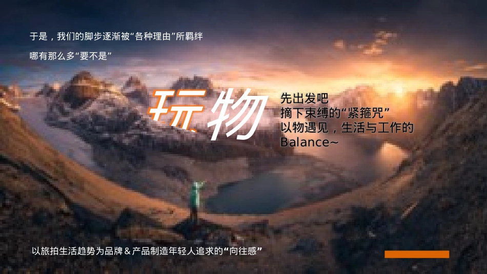 2024年-玩物规划_第3页