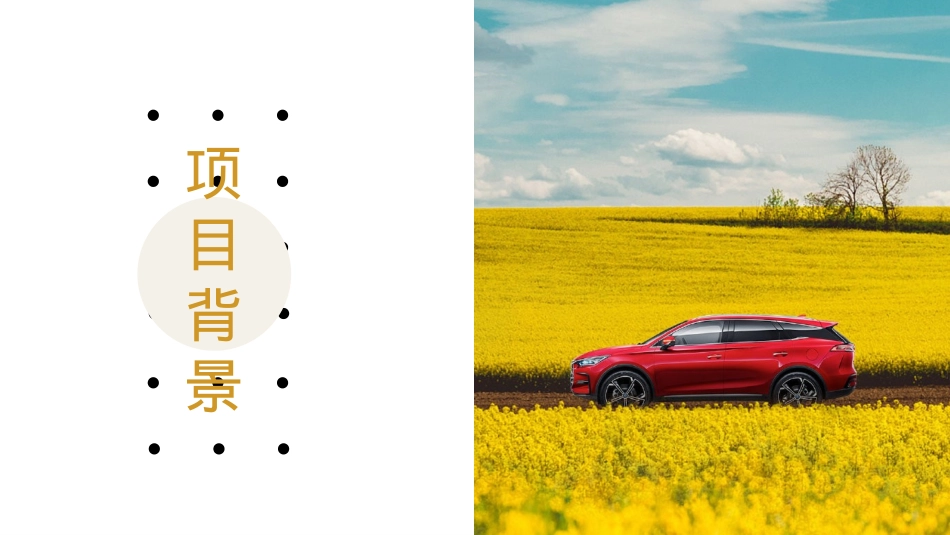 比亚迪团购会_第3页