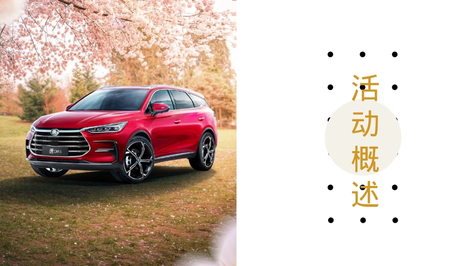 比亚迪团购会_第7页