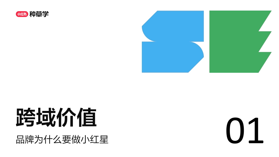 新锐寝具「蓝盒子」的小红星进阶之路.pdf_第3页