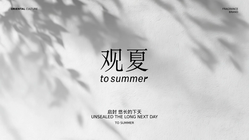 观夏品牌PPT.pptx_第10页