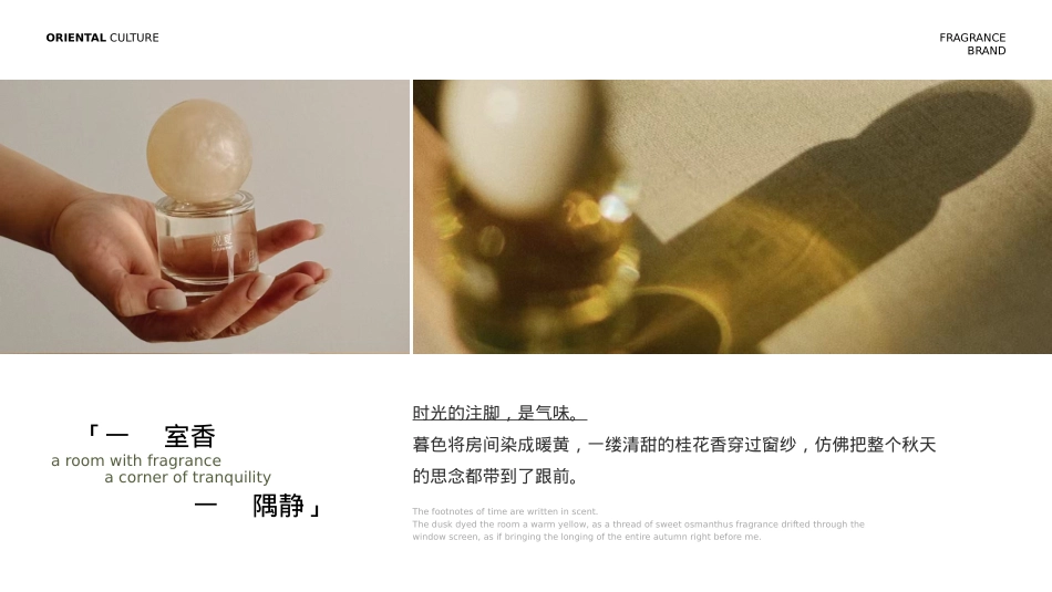 观夏品牌PPT.pptx_第3页