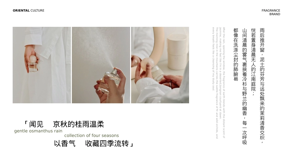 观夏品牌PPT.pptx_第5页