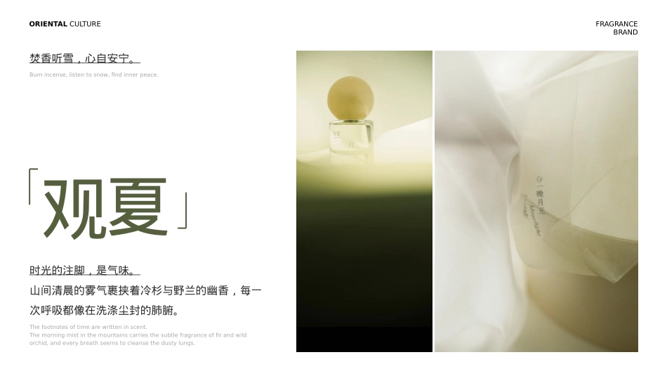 观夏品牌PPT.pptx_第6页