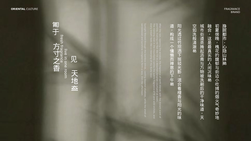 观夏品牌PPT.pptx_第7页