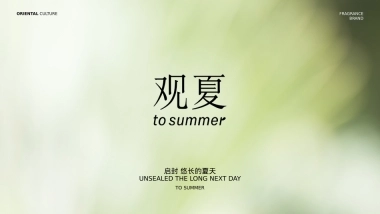 观夏品牌PPT.pptx