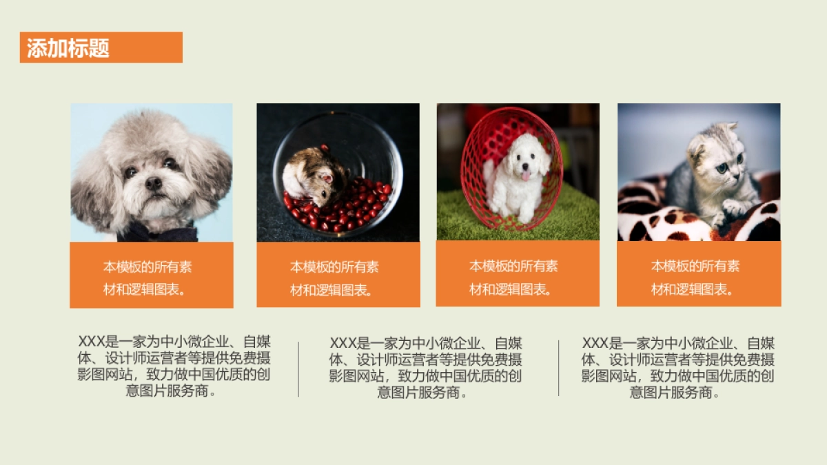 商业策划(84)_第4页