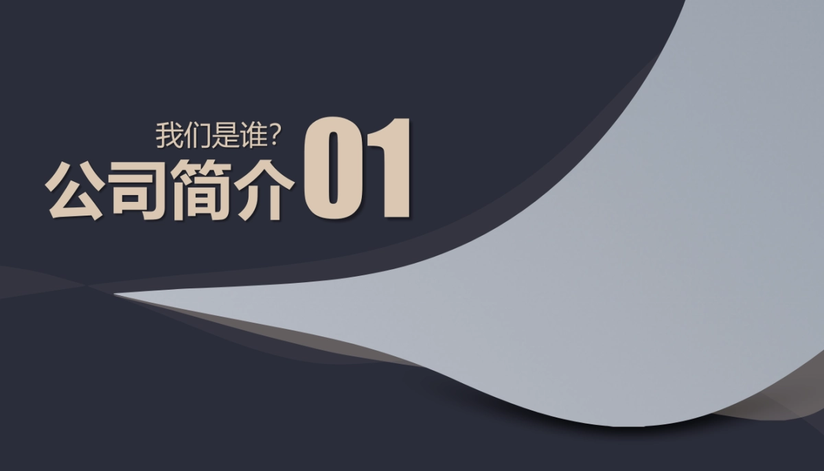 商业策划(87)_第6页