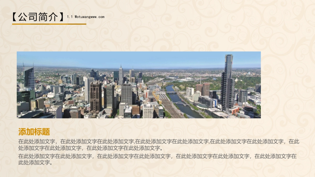 商业策划(1)_第4页