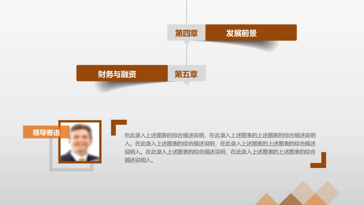 商业策划(4)_第3页