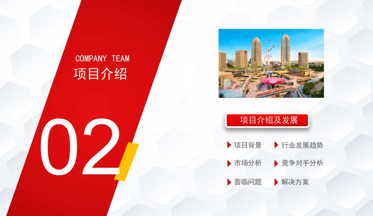 商业策划(10)_第10页