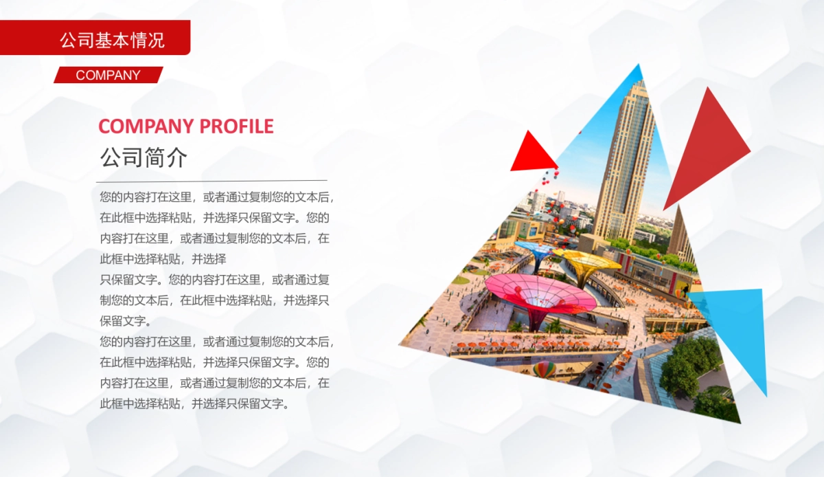 商业策划(10)_第4页