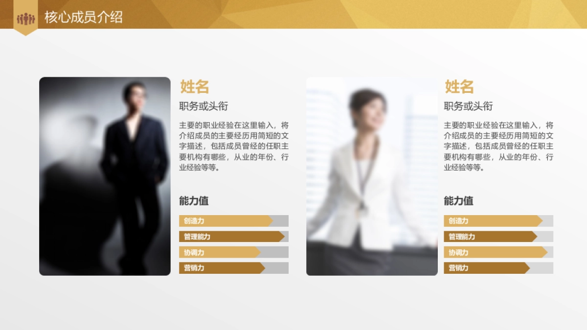 商业策划(13)_第6页