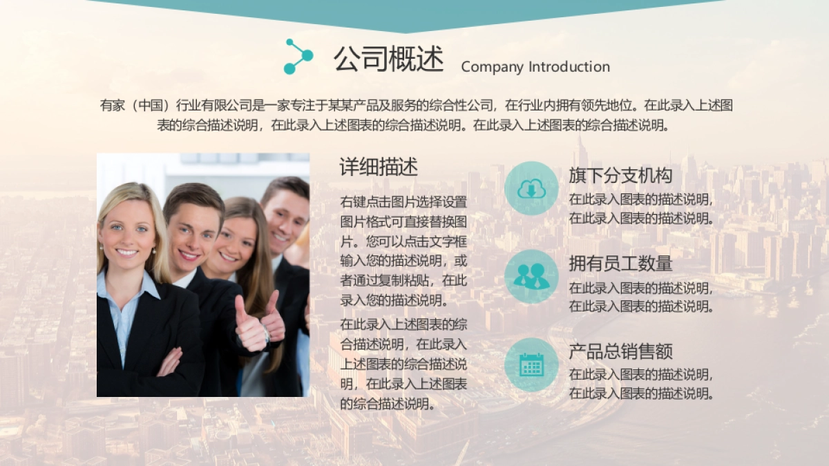 商业策划(17)_第5页