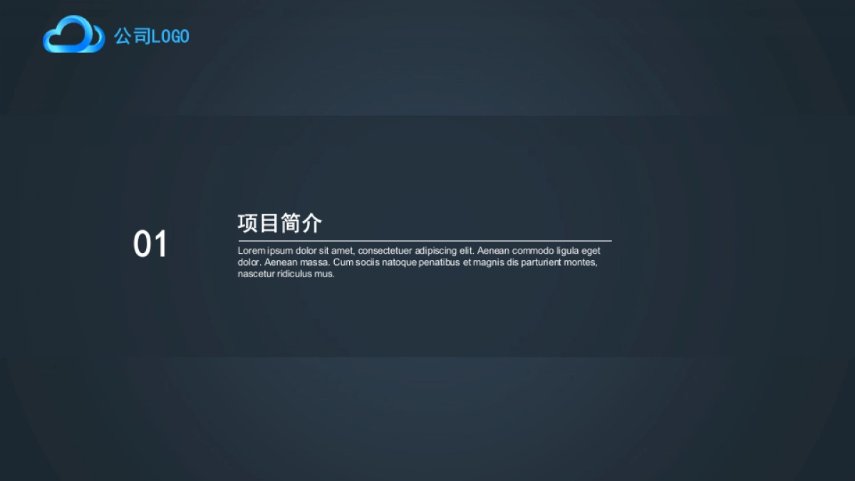 商业策划(19)_第3页