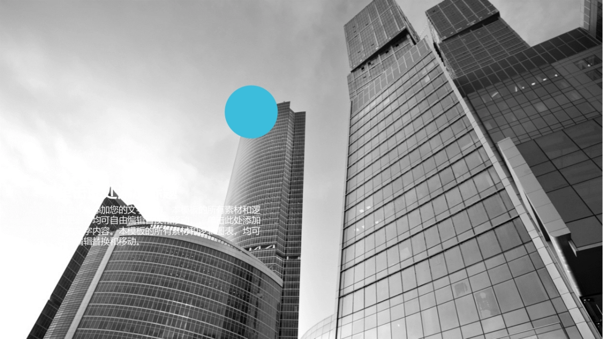 商业策划(23)_第5页