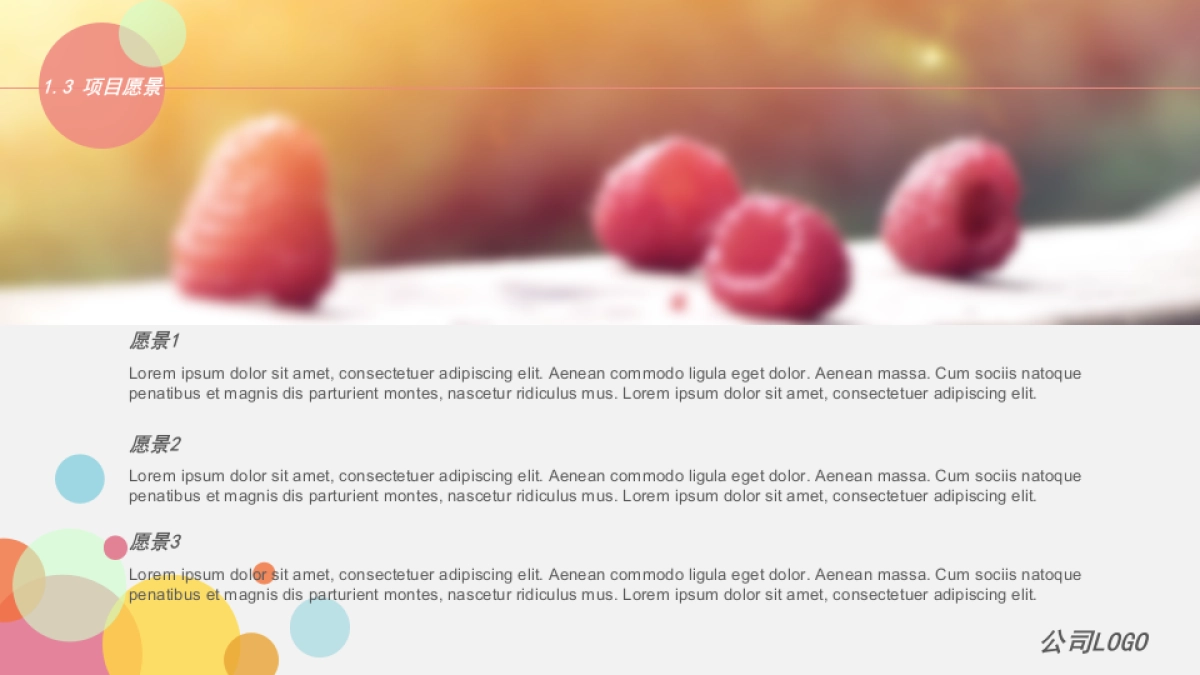 商业策划(26)_第5页