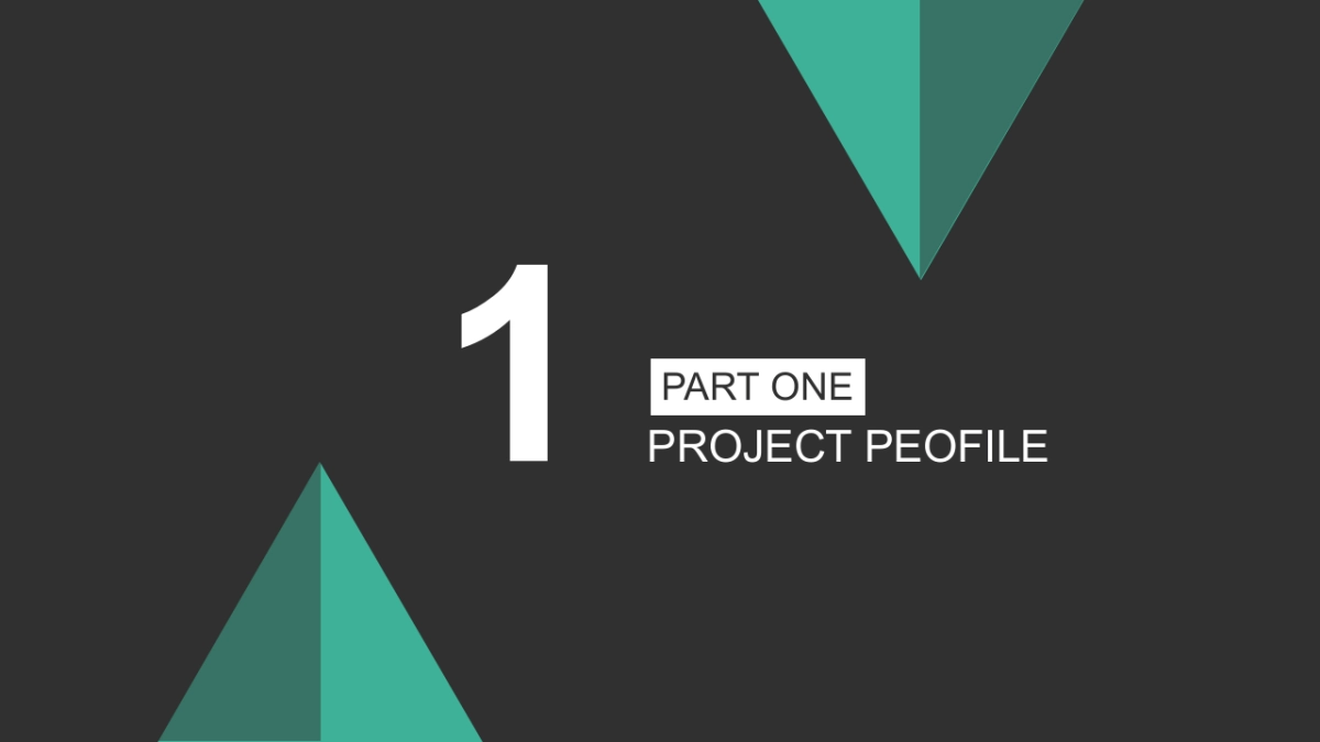 商业策划(27)_第3页