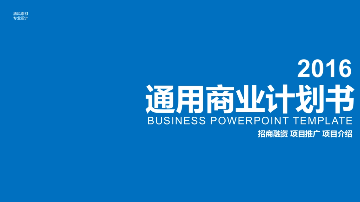 商业策划(29)_第1页