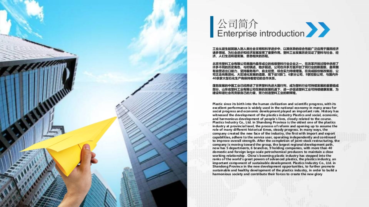 商业策划(33)_第4页