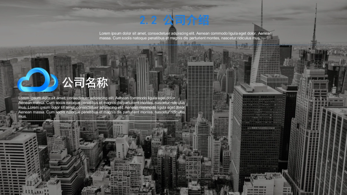 商业策划(37)_第10页