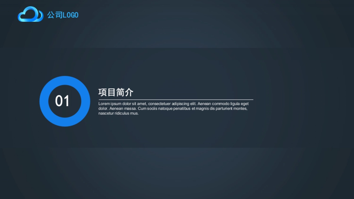 商业策划(37)_第3页