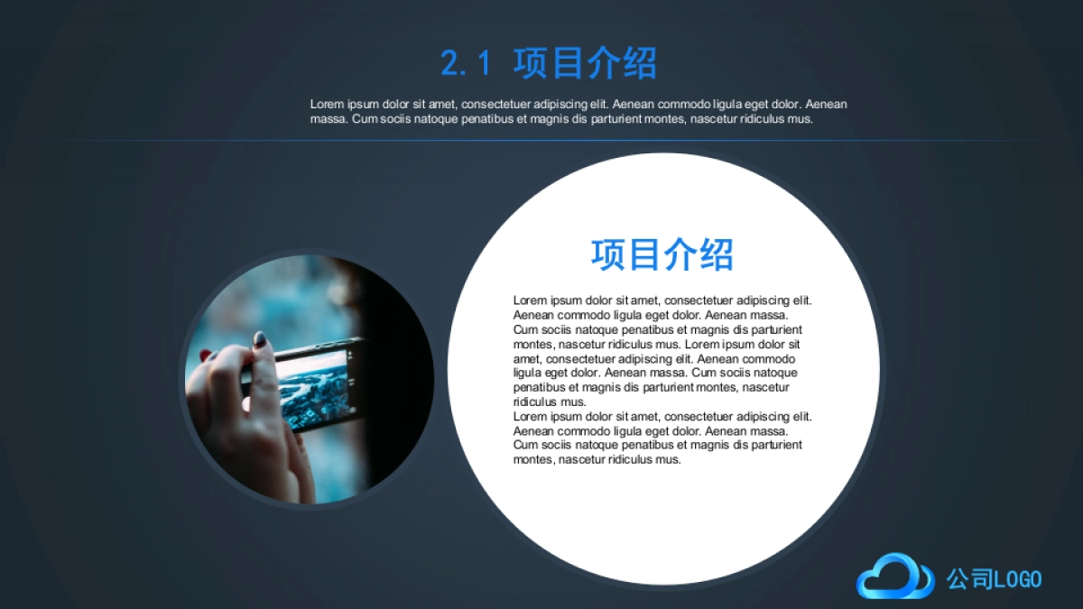 商业策划(37)_第9页