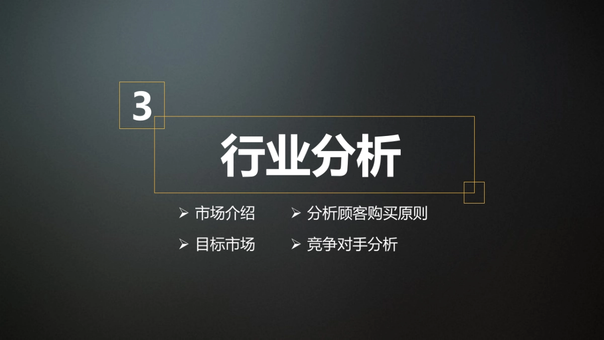 商业策划(48)_第10页