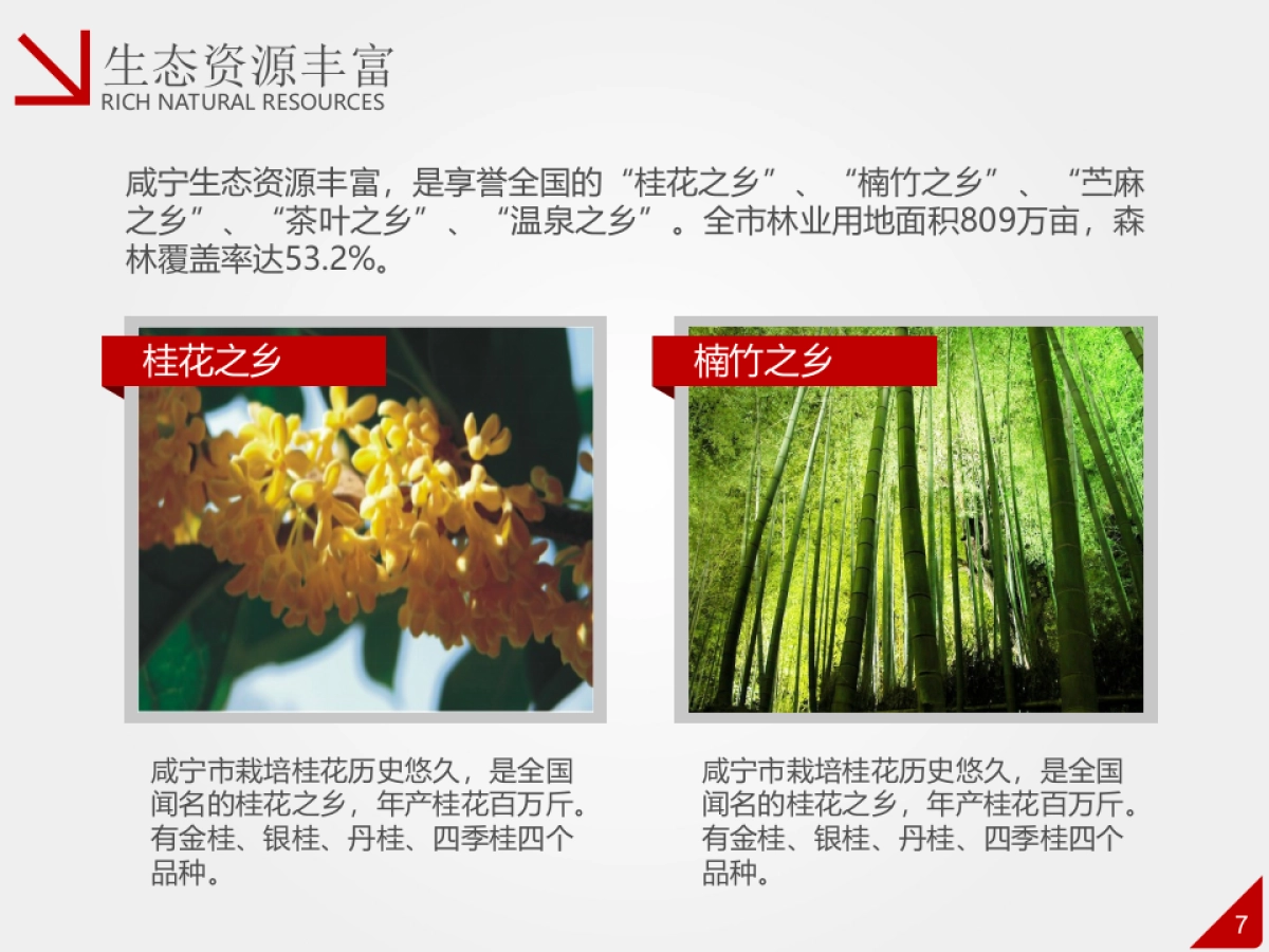 商业策划(51)_第7页