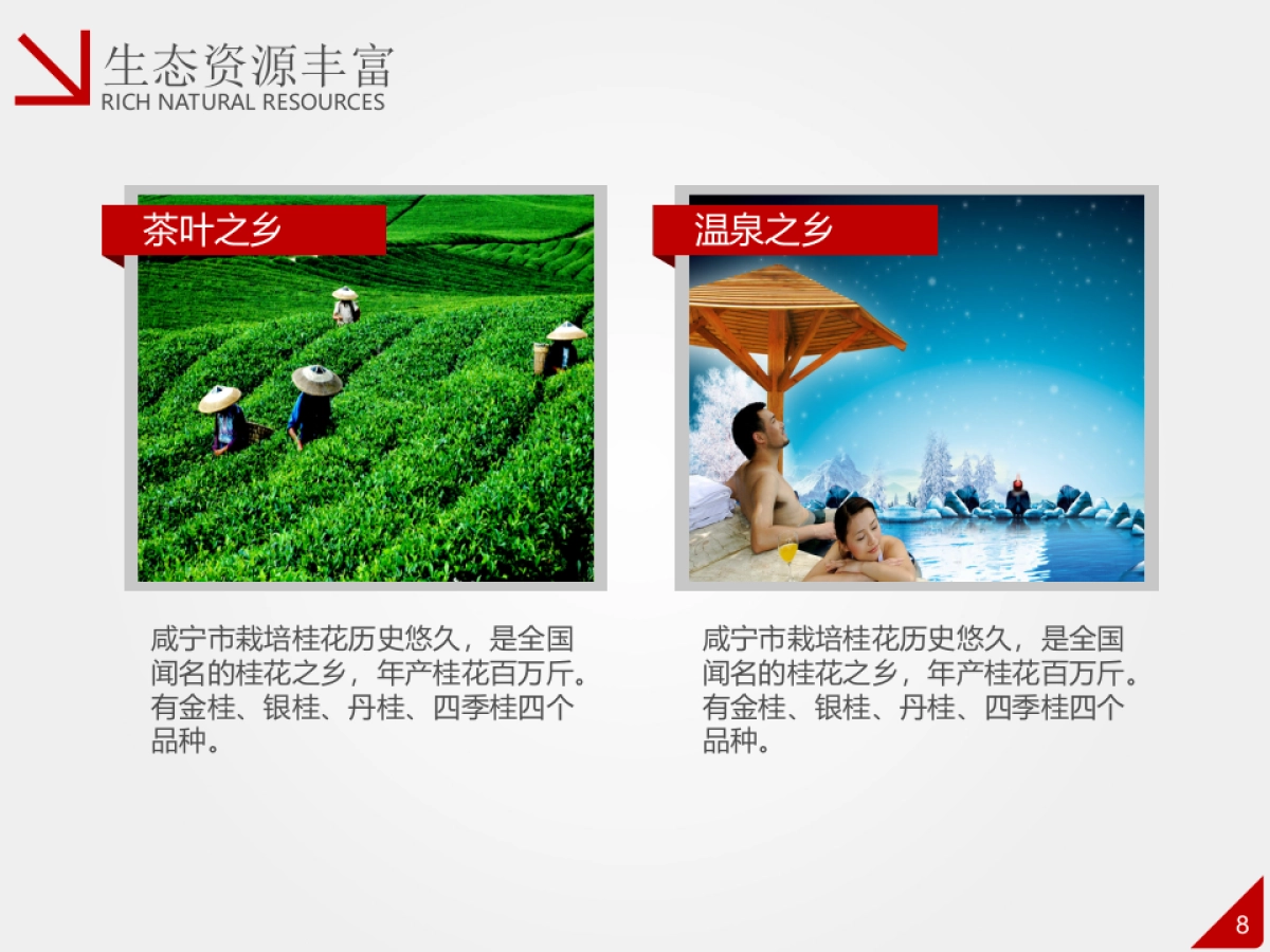 商业策划(51)_第8页