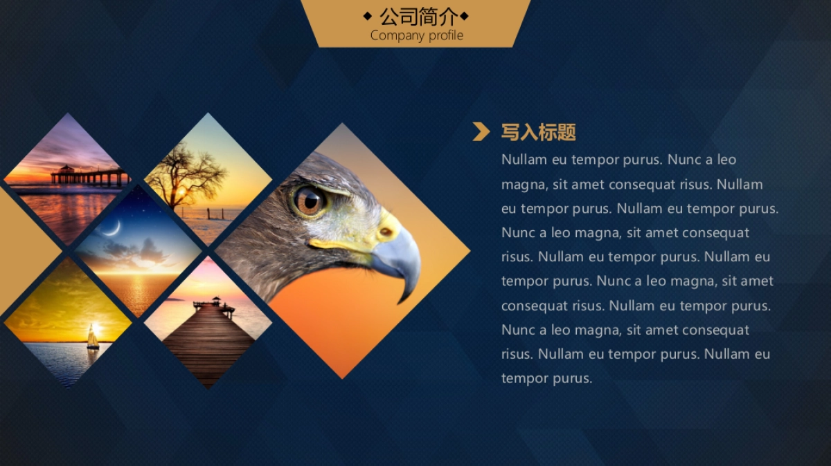 商业策划(56)_第5页