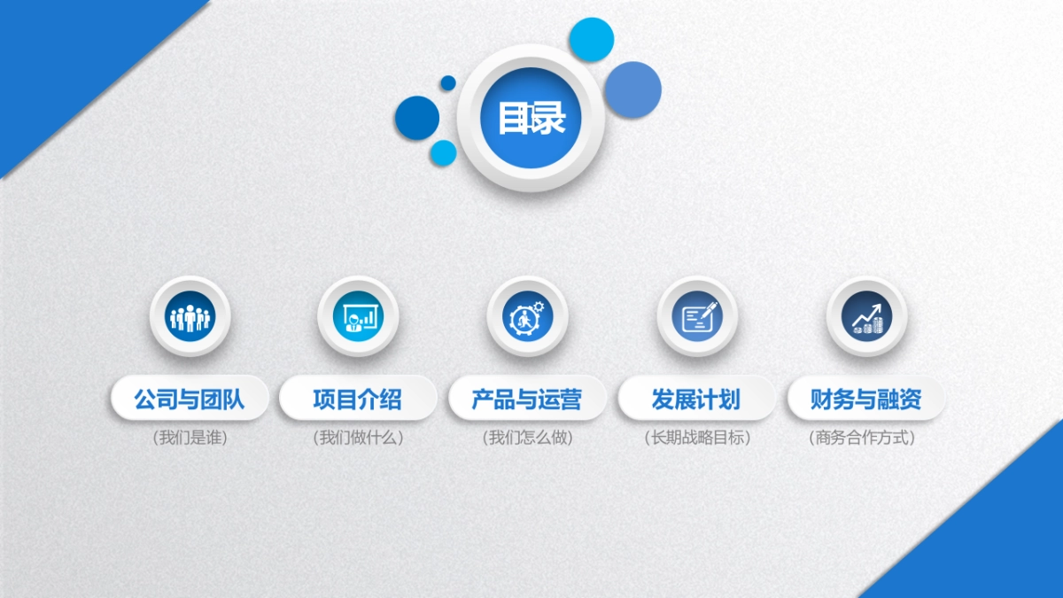 商业策划(62)_第3页