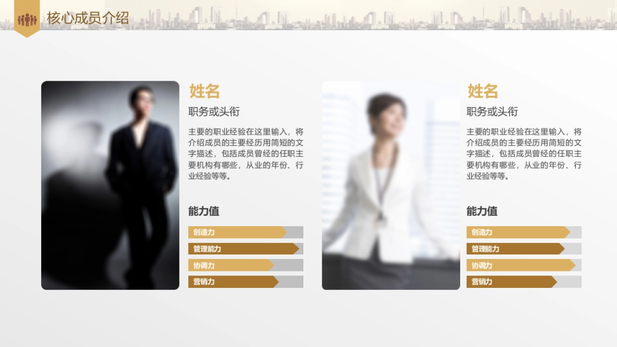 商业策划(69)_第6页