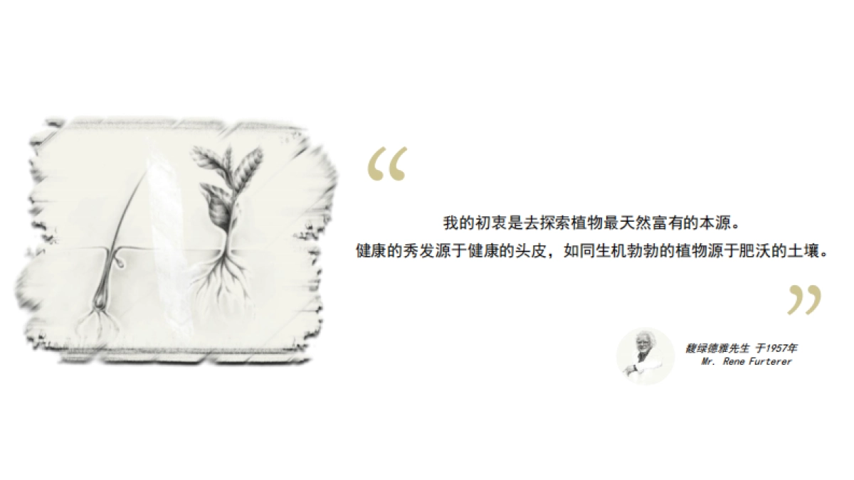 馥绿德雅品牌介绍_第3页