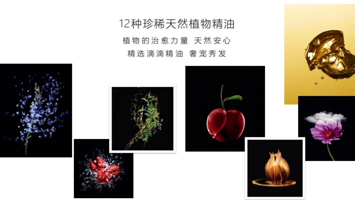 馥绿德雅品牌介绍_第5页