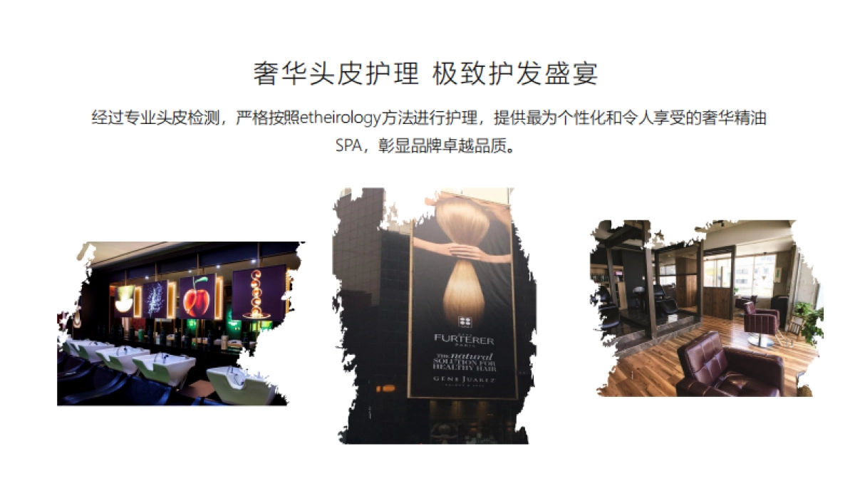 馥绿德雅品牌介绍_第8页