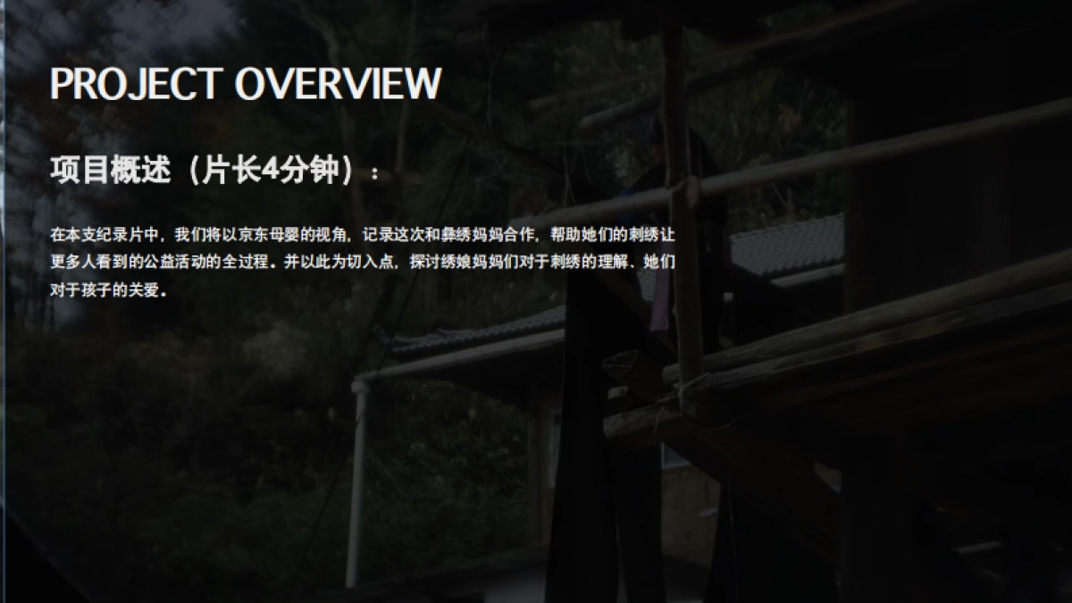 京东短视频分镜头脚本方案《针藏的母爱》_第2页